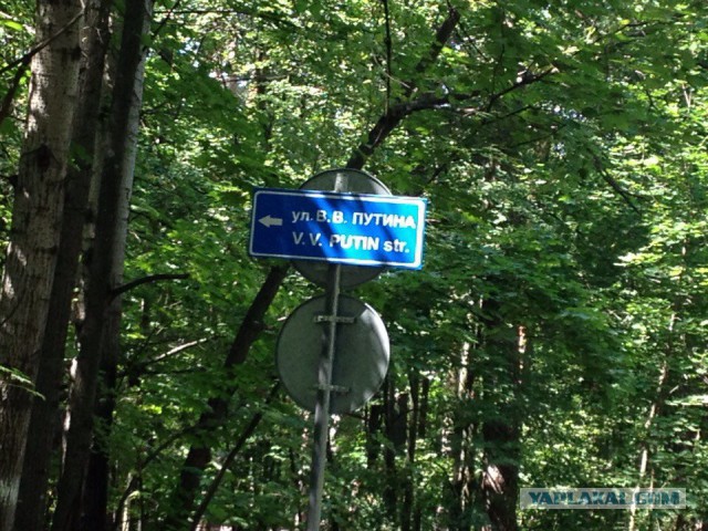 Пу-у-у-утин!