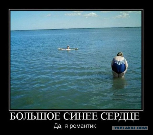 Подборка веселых картинок