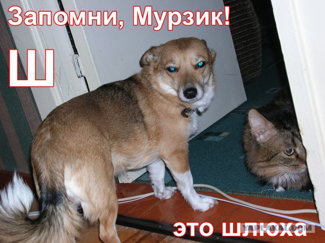 Кто чернее,  тот и папа