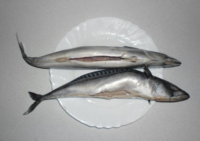 Копченая скумбрия