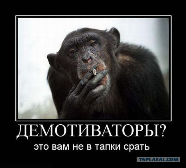 Картинки и демотиваторы