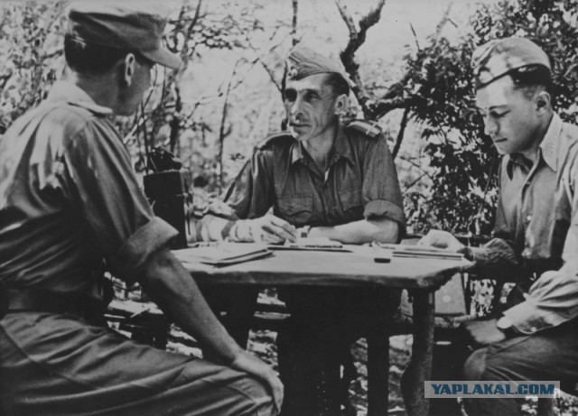 Румыны под Сталинградом