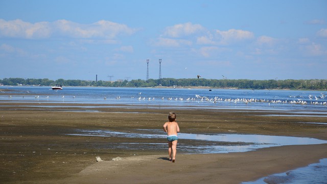 Я узнал, что у меня есть огромная семья