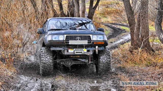 Буханка прет напролом