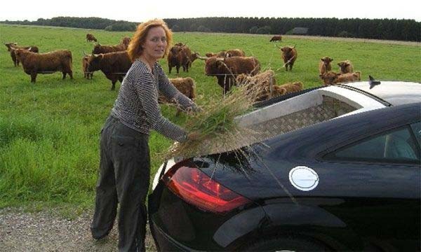 Жестокие датчане корежат Audi Tt