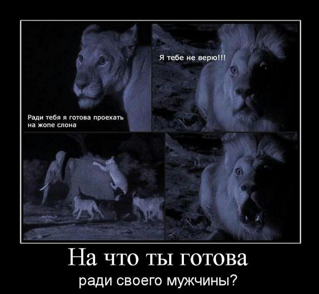 Вот сучка, напугала
