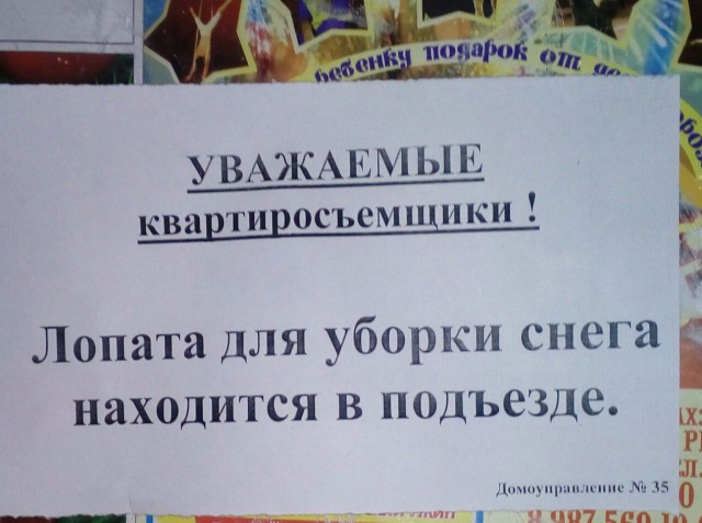 В горсовете Уфы назвали «личным мнением» слова пресс-секретаря об «изнеженных слюнтяях»