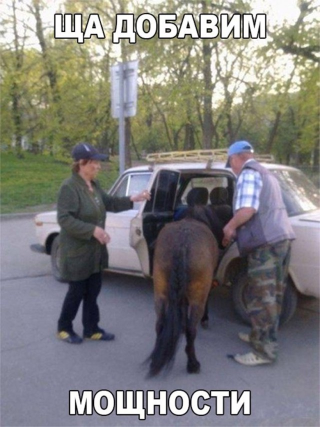 Подборка безудержного веселья