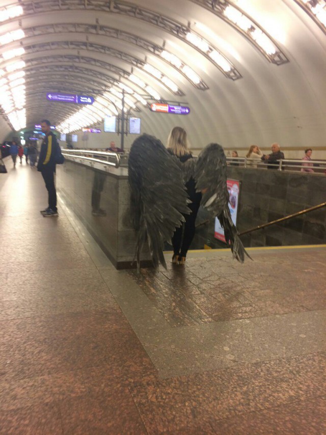 Чудны рабы твои, господи 12.01.18
