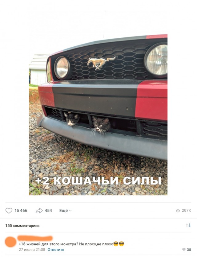 Прикольные картинки обо всем