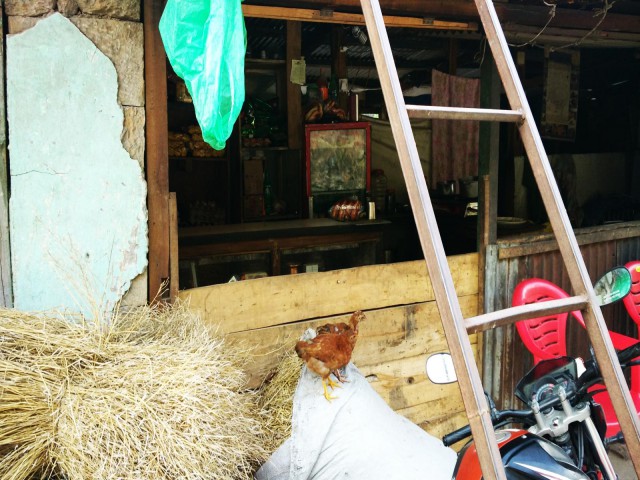 Записки и фото из... Непала.