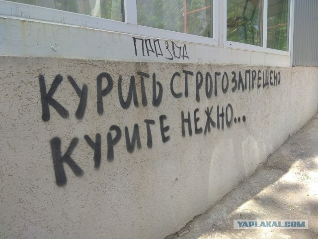 «Бродячие» философы: 17 глубокомысленных заметок в транспорте и на улицах
