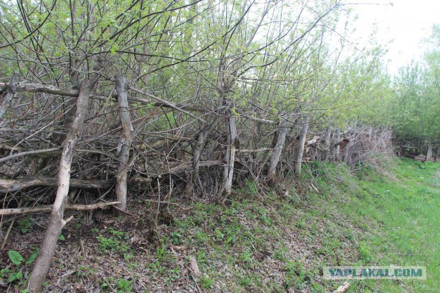 Оренбургская глубинка
