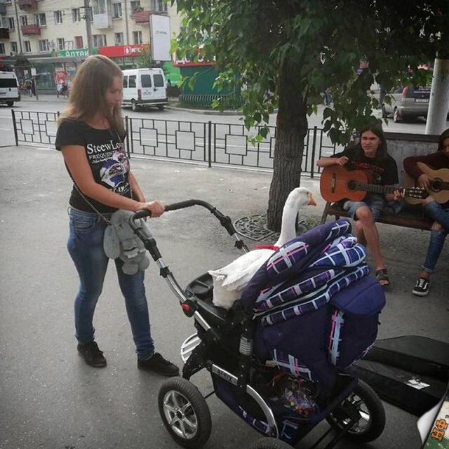 Чудики из социальных сетей