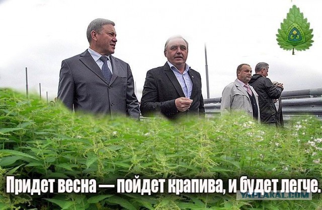 Еда для пенсионеров. Вместо мяса и рыбы.