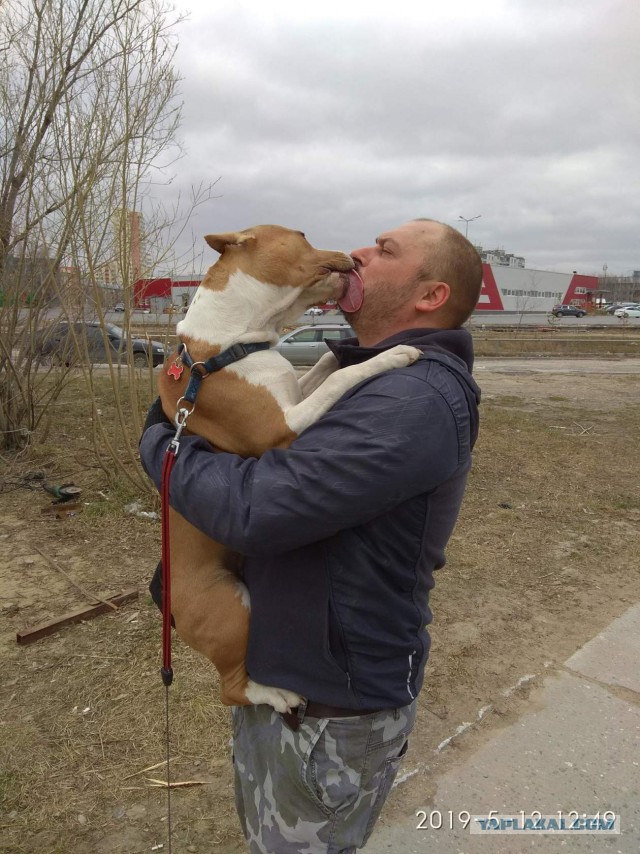 Собакочетверг господа!