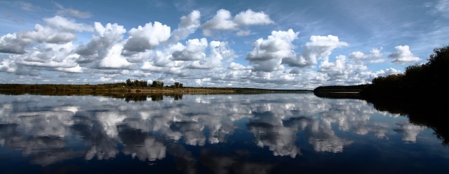 Двинско-Пинежское междуречье: как исчезают первозданные леса