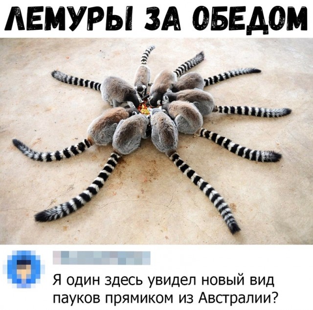 Картинки