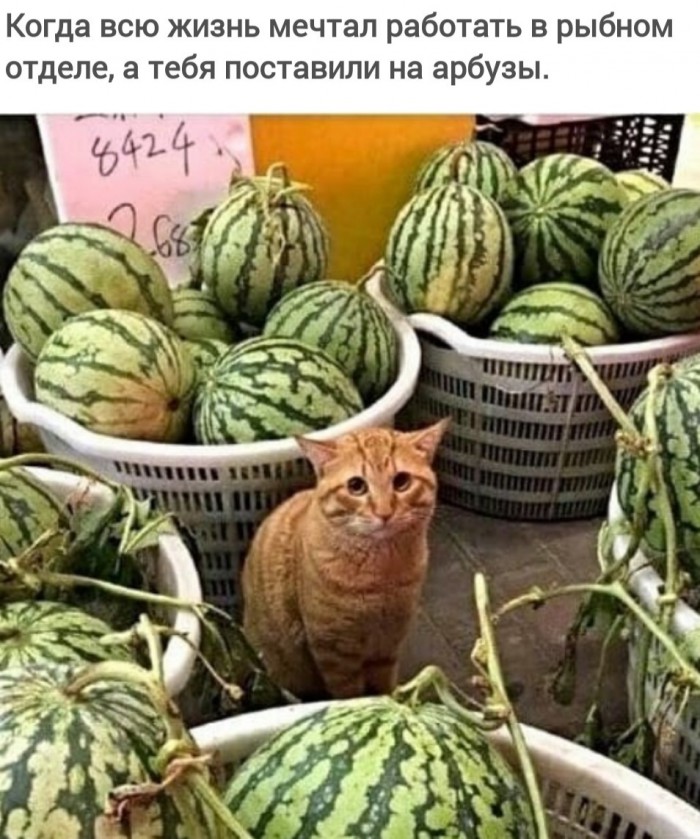 Немного картинок для настроения!