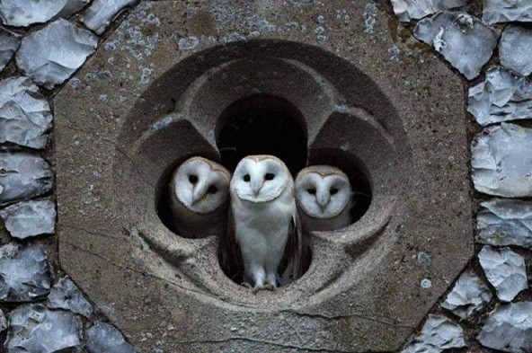 45 разных картинок 06.12.2019