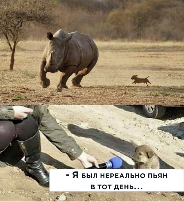 Так себе картинки 18.05.20