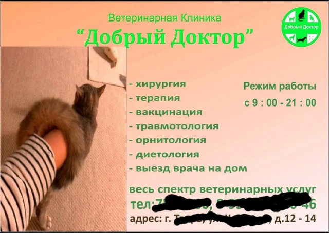Немного картинок для настроения 31.05.20