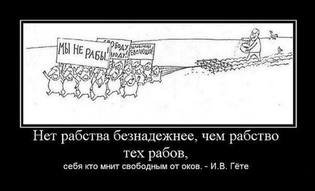 Накипело... на статью!