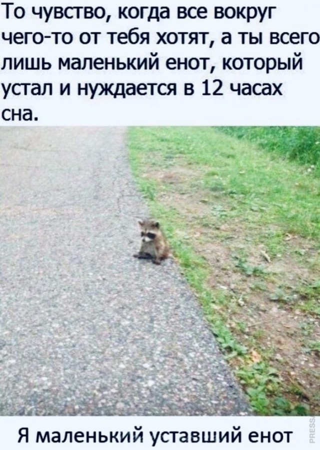 Немного картинок для настроения 17.11.20