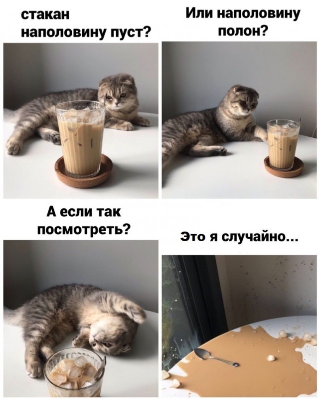 Коты они такие