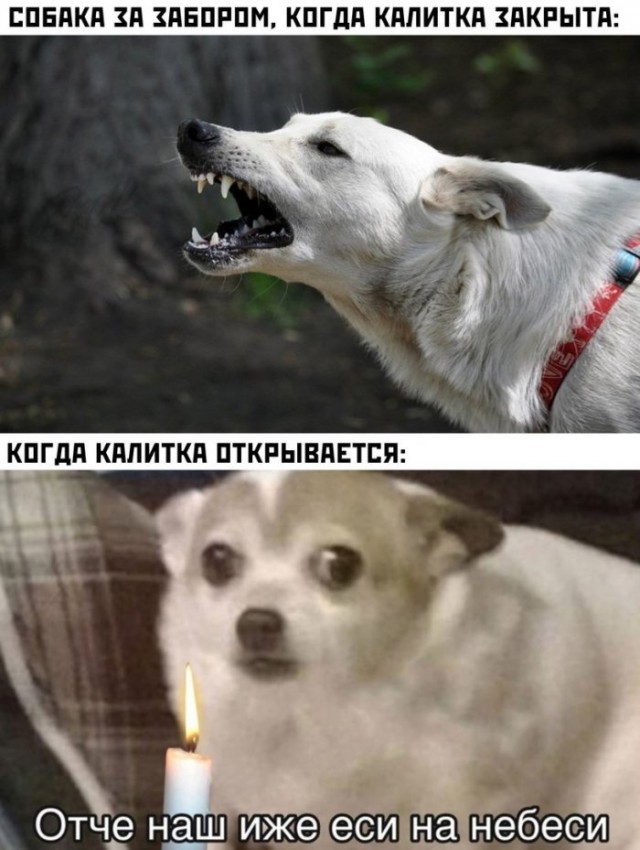 Кретинизмы из ЛМ и ЛЩ 22.02.21