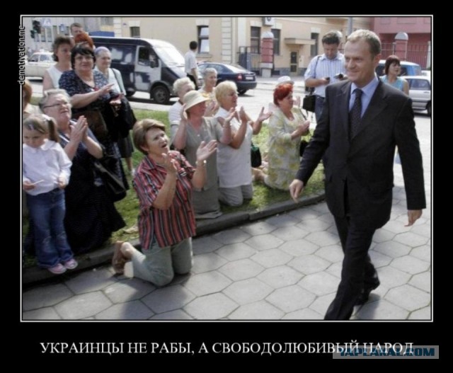 А подсолнечное масло теперь - удел олигархов