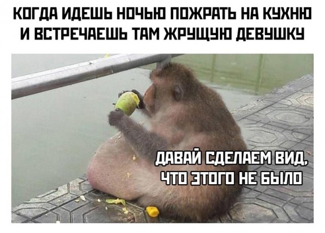 Весёлый полтишок 5.07