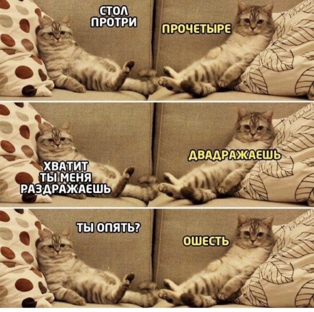 Картинки и мемы для настроения