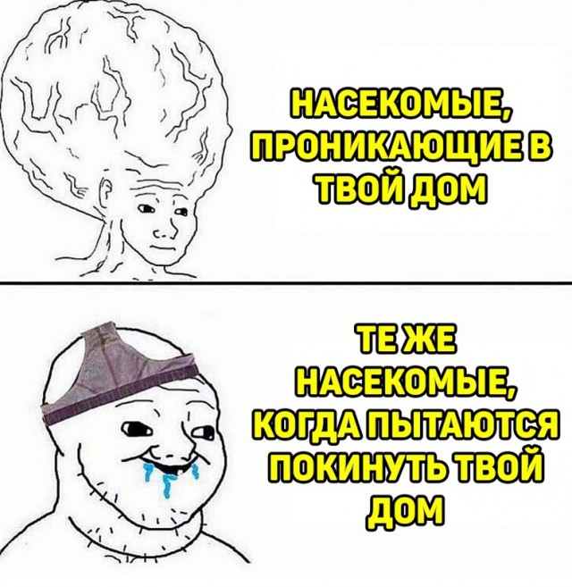 Весёлый полтишок 02.11