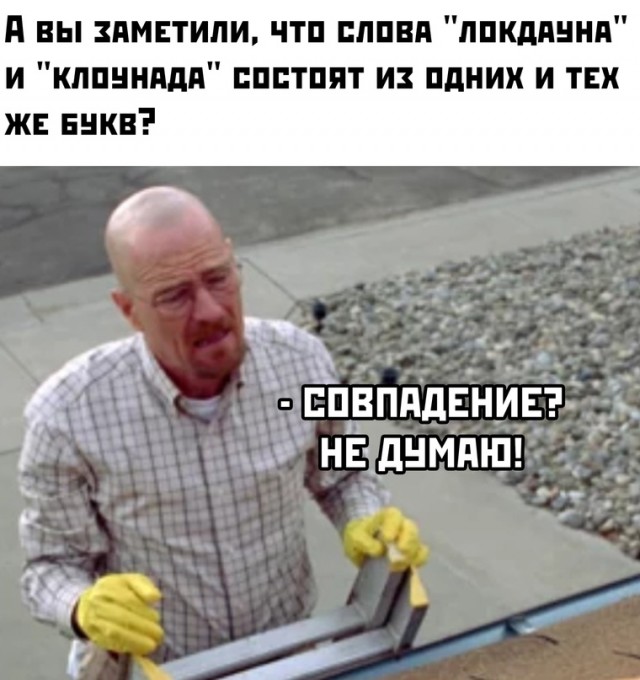 Весёлый полтишок 05.11
