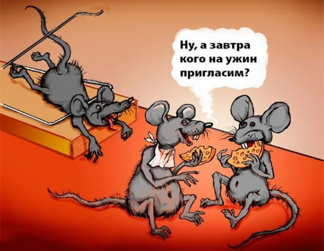 Поймать мыша не удалось