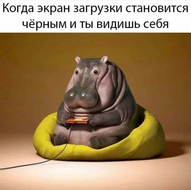 Всяческие картинки 22.12.2021