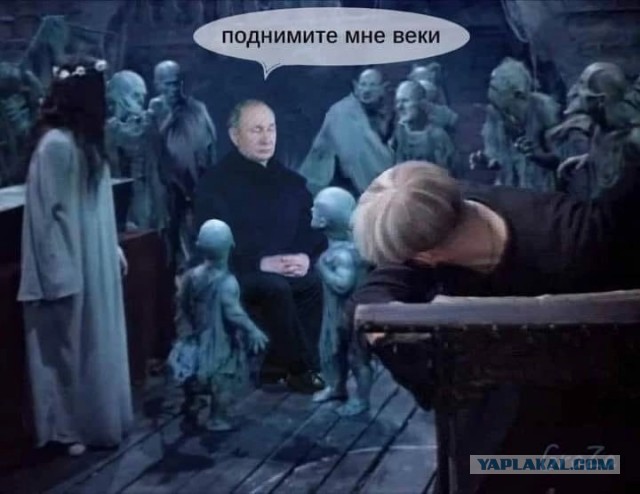 Встреча Путина и Макрона