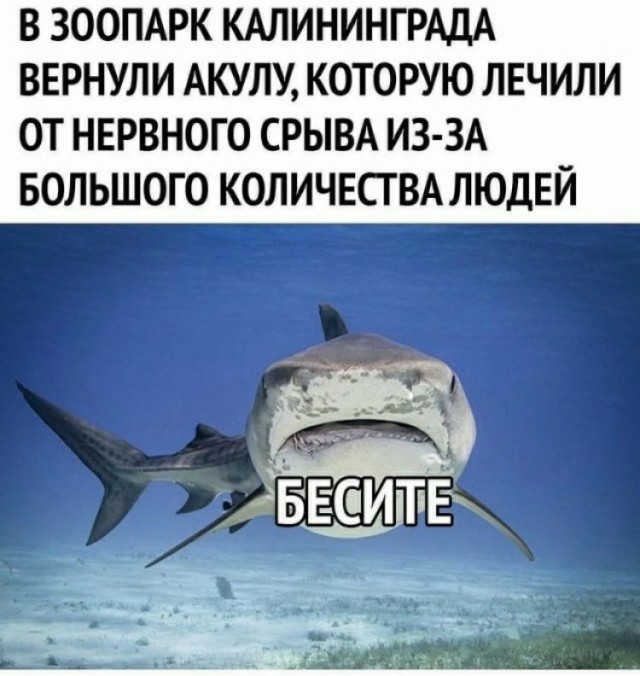 40 картинок разных 17.03.2022
