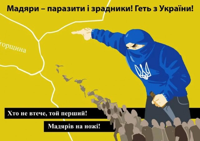 Жена экс-депутата Котвицкого попыталась вывезти в Венгрию $30 млн