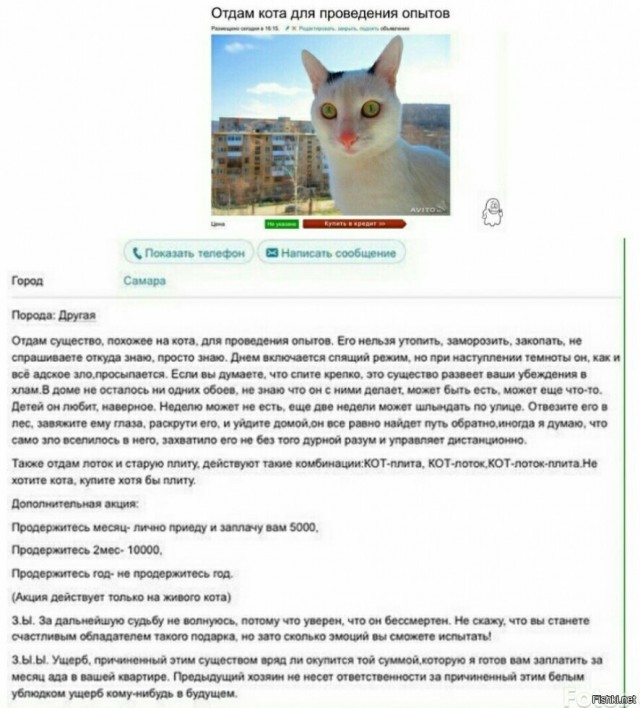 Вчера на Авито. Отдают сокровище бесплатно!