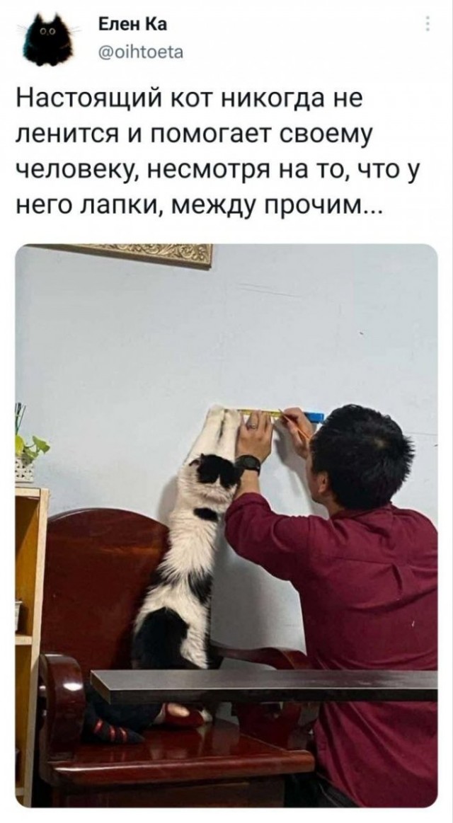 Картинки и мемы, всем отличных выходных