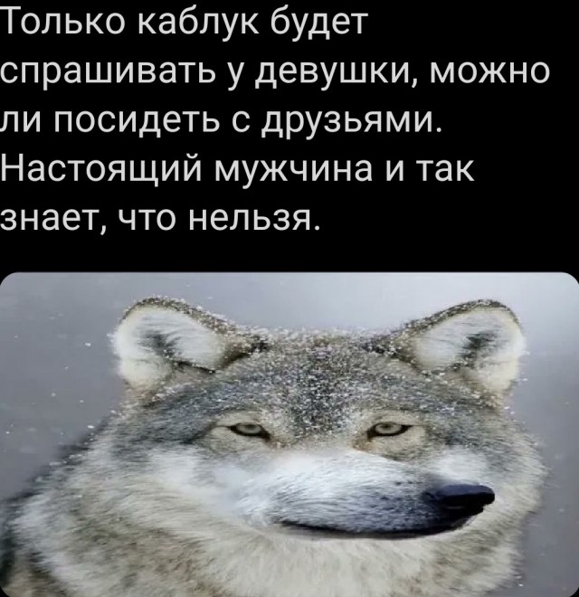 25 пикч для настроения