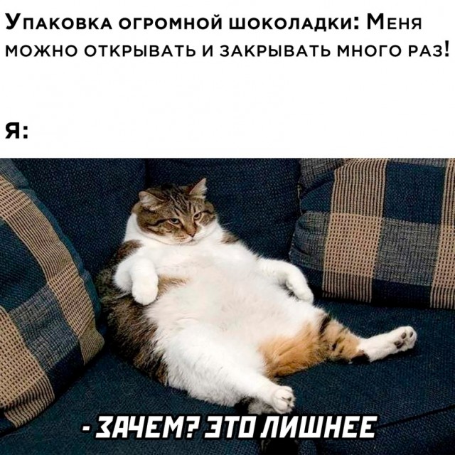 Весёлый полтишок 14.06.22