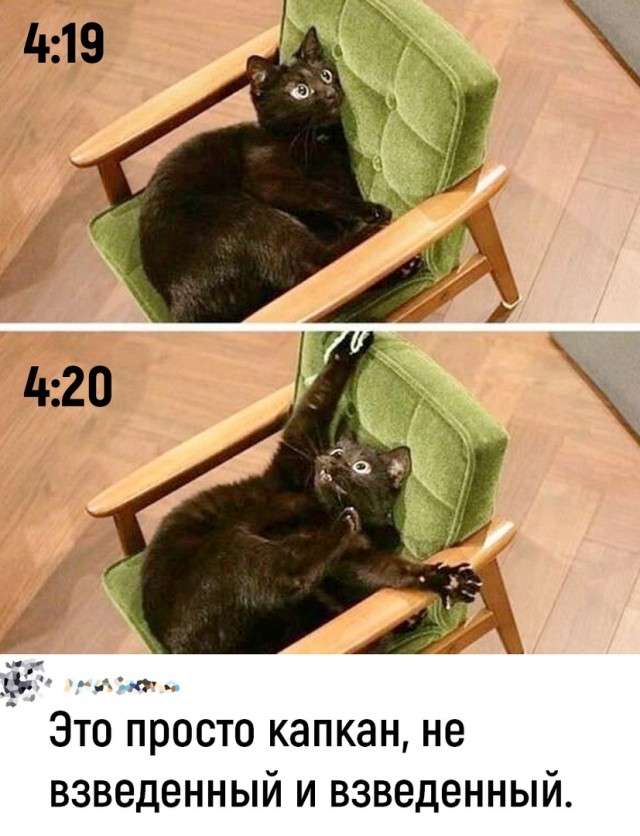 Так себе картинки 09.07.22