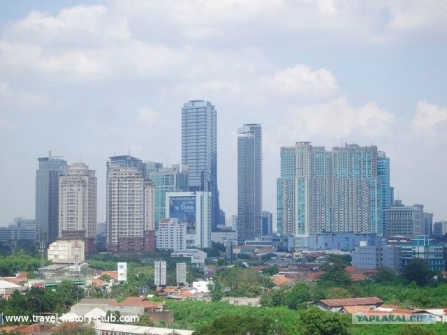 Они живут только 40 лет