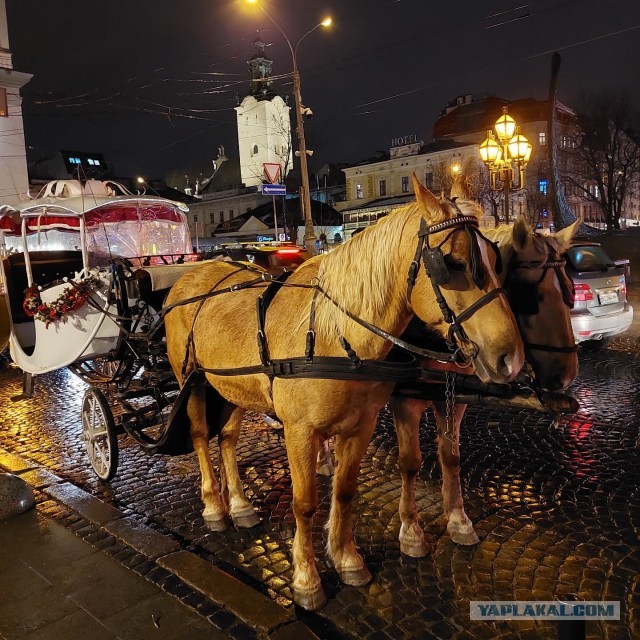 Немного фото Львова
