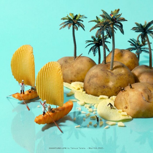 Мои любимые микромиры