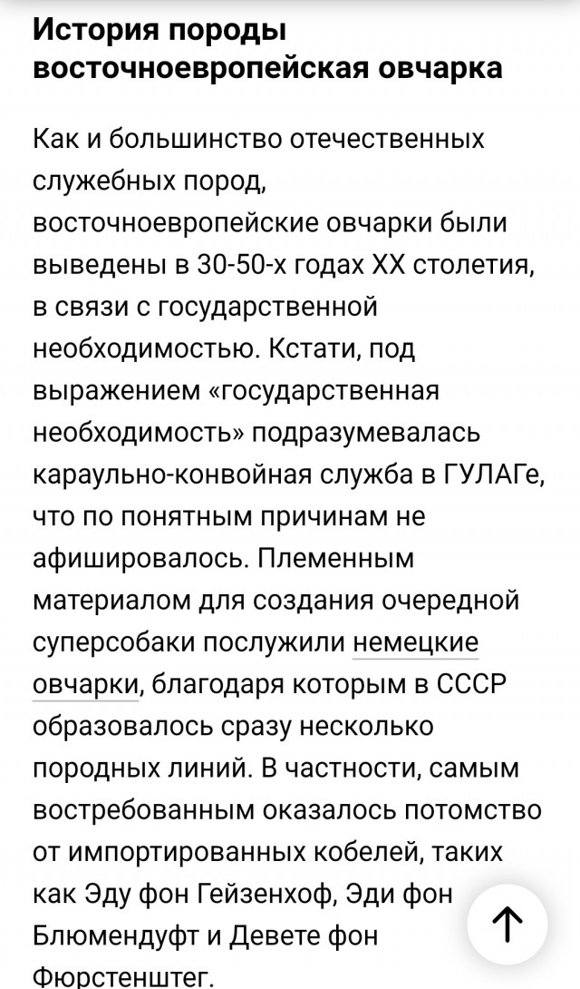 Мой песель по кличке Пуфик