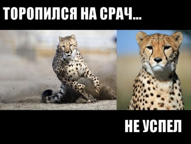 Не пиз**астрадание, но не понимание этих сорокапятилетних "девушек". Не кочет! Из Жизни!